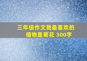 三年级作文我最喜欢的植物是菊花 300字